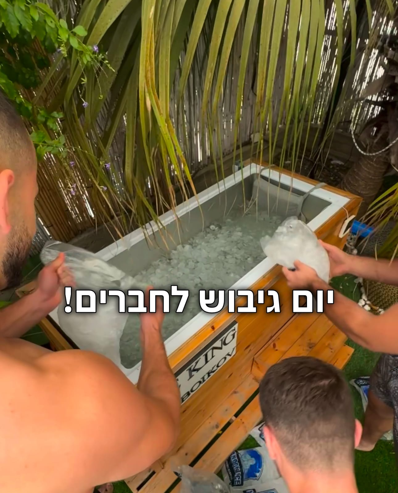 תמונה 39 – Ice King אמבטיית קרח בחיפה